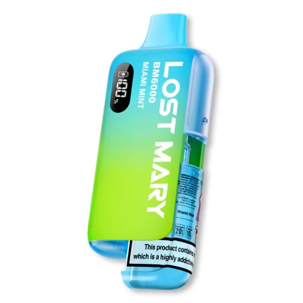  Fresh Mint Lost Mary Bm6000 Vape Kit Box of 5