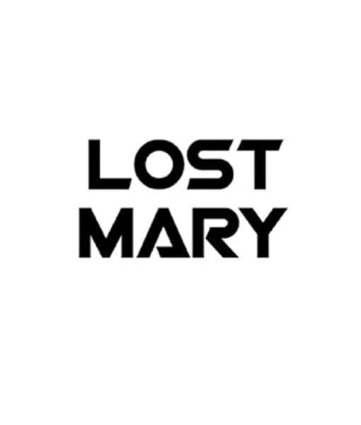 Lost Mary Vape Kits